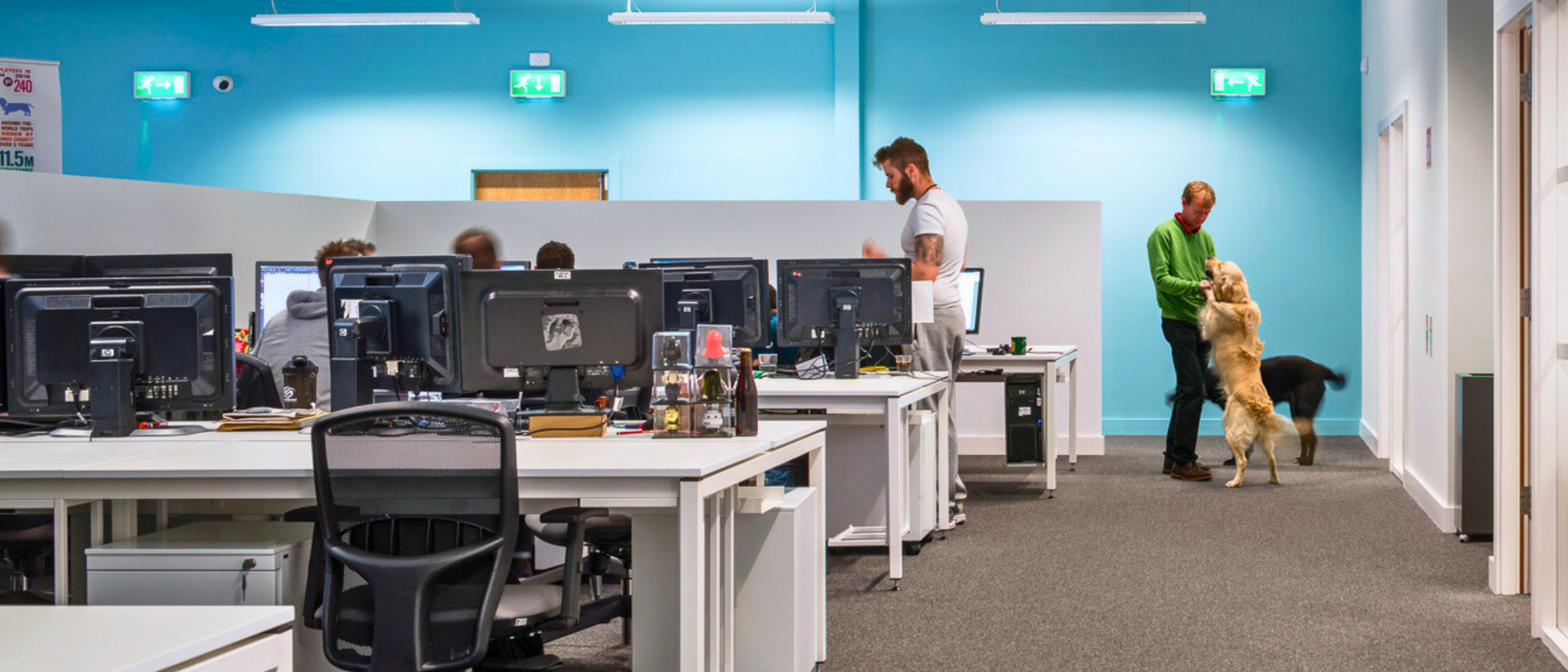 Open-plan office with desks, computers, and a person with their dog.